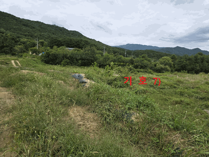경상북도 성주군 월항면 지방리 502-2 외 7필지 답 경매 사진 23