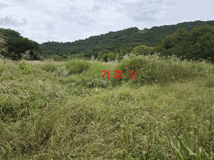 경상북도 성주군 월항면 지방리 502-2 외 7필지 답 경매 사진 27