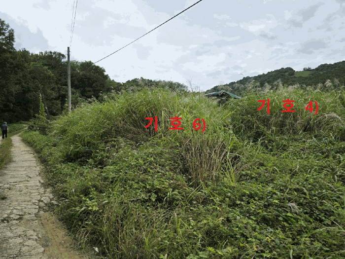 경상북도 성주군 월항면 지방리 502-2 외 7필지 답 경매 사진 28
