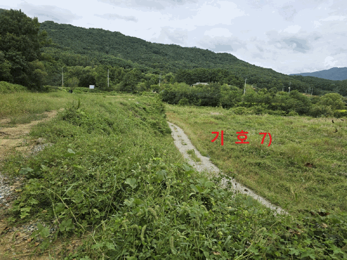 경상북도 성주군 월항면 지방리 502-2 외 7필지 답 경매 사진 29