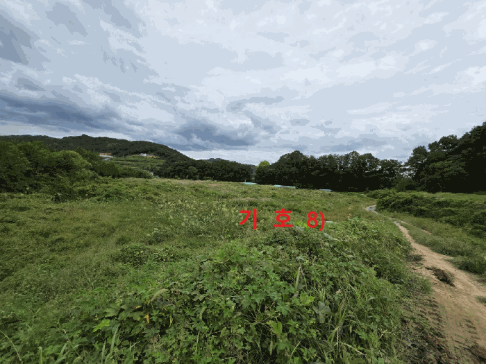 경상북도 성주군 월항면 지방리 502-2 외 7필지 답 경매 사진 30