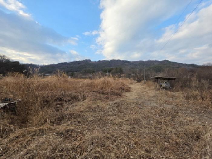 경상북도 성주군 월항면 지방리 502-2 외 7필지 답 경매 사진 6
