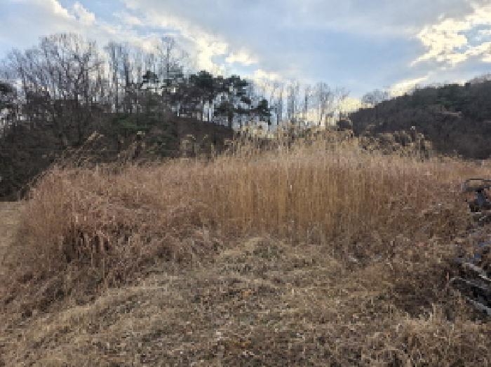 경상북도 성주군 월항면 지방리 502-2 외 7필지 답 경매 사진 9