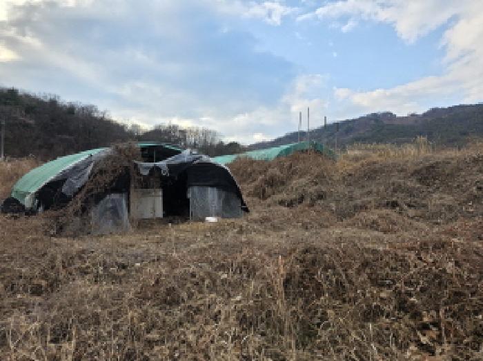 경상북도 성주군 월항면 지방리 502-2 외 7필지 답 경매 사진 10