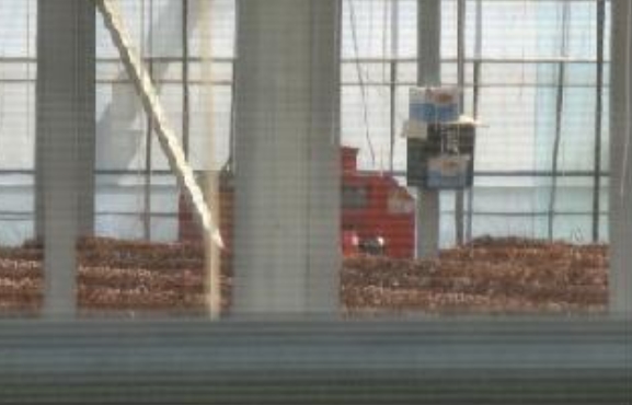 전라남도 무안군 삼향읍 남악리 2120 뉴캐슬하이클래스 14층1404호 오피스텔 경매 사진 15