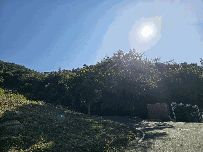 전라남도 순천시 덕월동 1321-36 임야 경매 사진 18