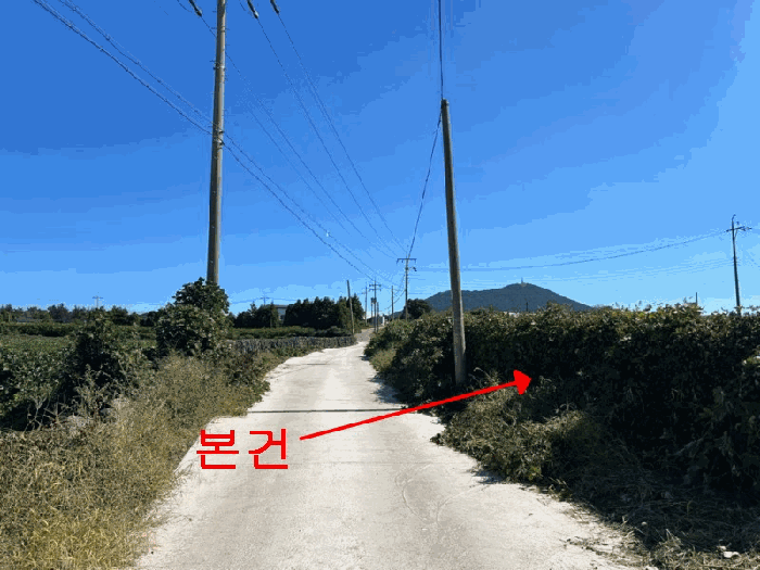 제주특별자치도 제주시 한림읍 상명리 187-5 임야 경매 사진 13