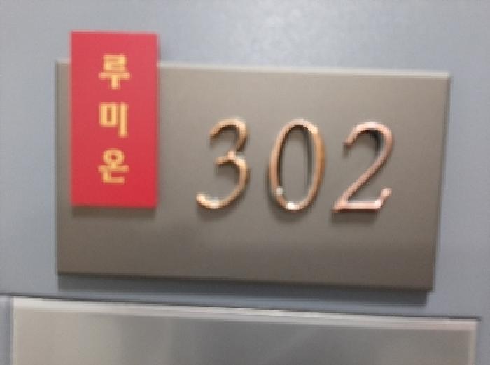 서울특별시 강서구 염창동 261-16 루미온 제102동 제3층 제302호 오피스텔 경매 사진 22