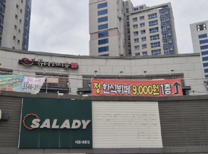 세종특별자치시 새롬동 564 새뜸마을13단지 근린생활시설 2층에이-204호 근린상가 경매 사진 29