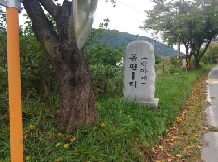 충청남도 금산군 군북면 조정리 산131 임야 경매 사진 16