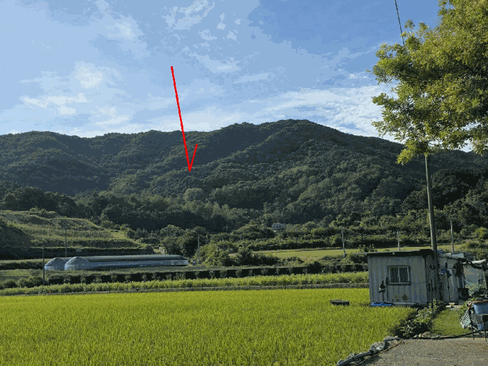 충청남도 금산군 군북면 조정리 산131 임야 경매 사진 23