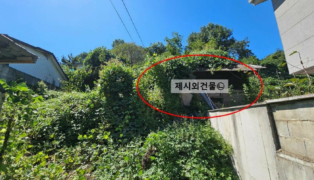경상남도 함안군 칠서면 이룡리 1201 대지 경매 사진 24