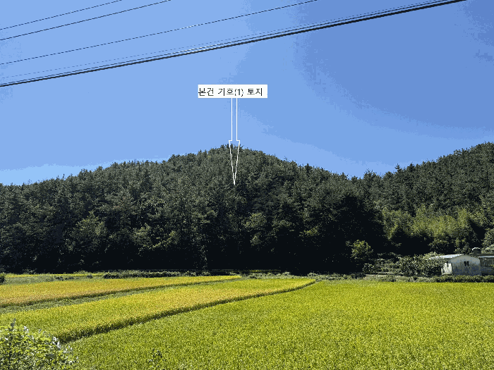 경상남도 하동군 금남면 진정리 산20-4 임야 경매 사진 9