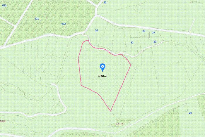 경상남도 하동군 금남면 진정리 산20-4 임야 경매 사진 14
