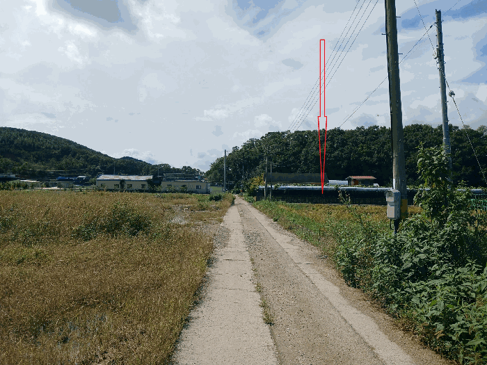 경기도 김포시 월곶면 포내리 251-4 전 경매 사진 38