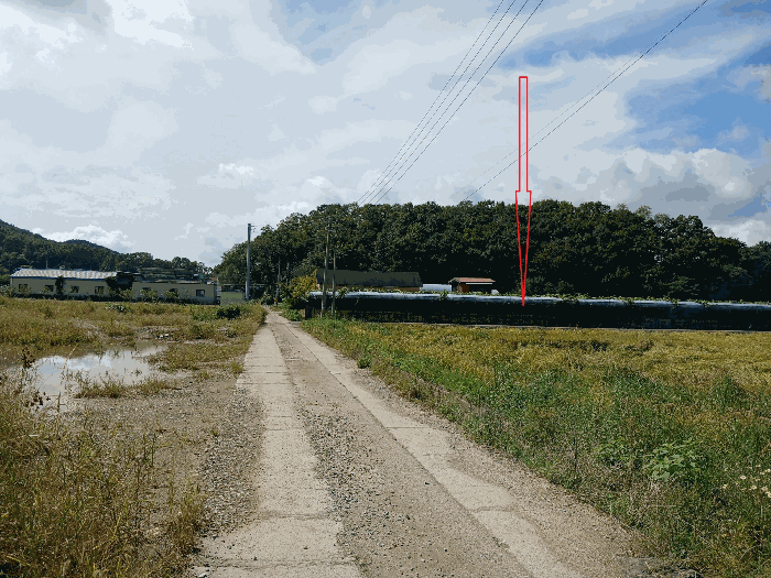 경기도 김포시 월곶면 포내리 251-4 전 경매 사진 41