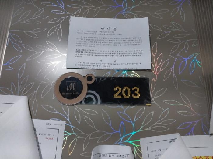 인천광역시 미추홀구 숭의동 147-5 밀레니엄 2층203호 외 5필지 다세대주택 경매 사진 5
