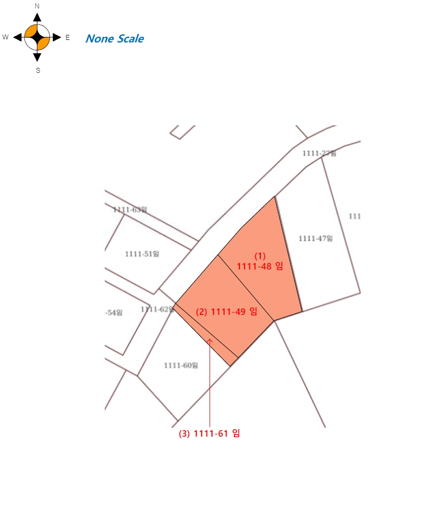 강원특별자치도 평창군 봉평면 무이리 1111-48 외 2필지 임야 경매 사진 5