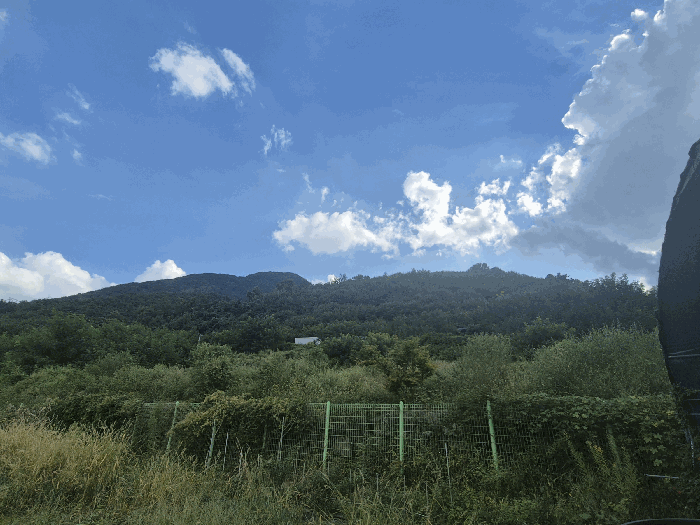 경상북도 경산시 와촌면 신한리 231 전답 경매 사진 6