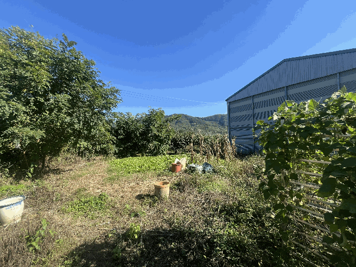 경상북도 청도군 청도읍 내리 690 답 경매 사진 13