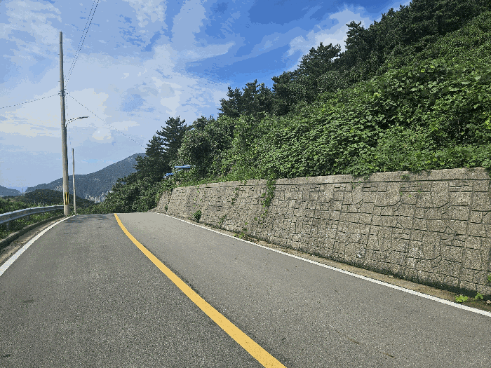 경상남도 통영시 욕지면 동항리 327-9 전 경매 사진 26