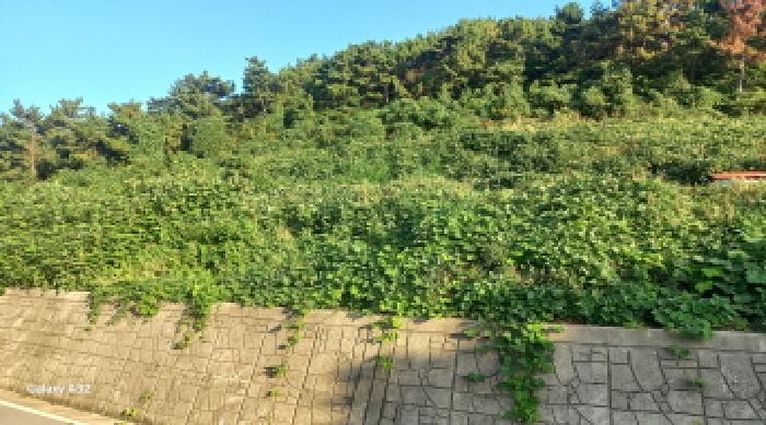 경상남도 통영시 욕지면 동항리 327-9 전 경매 사진 17
