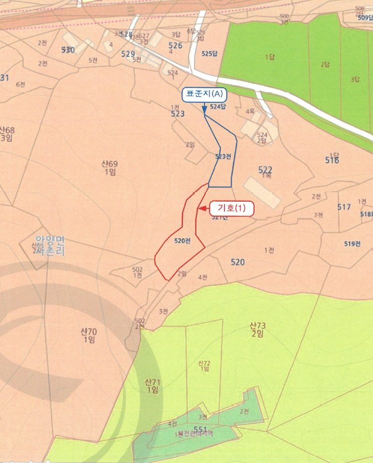 전라남도 장흥군 안양면 사촌리 520 전 경매 사진 9