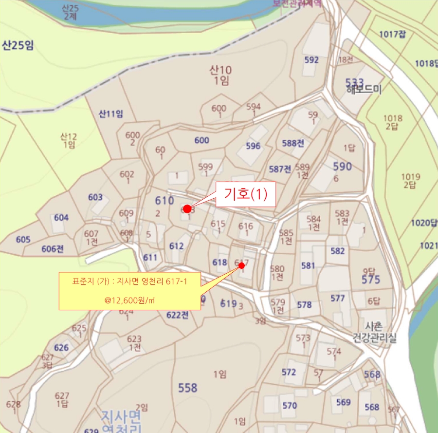 전북특별자치도 임실군 지사면 영천리 613-1 대지 경매 사진 38