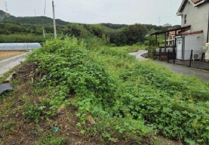 충청남도 아산시 염치읍 강청리 263 대지 경매 사진 18