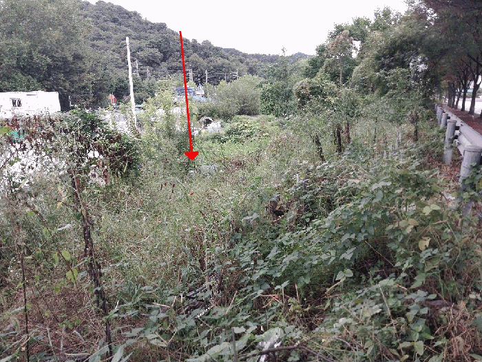 광주광역시 북구 문흥동 11-27 전 경매 사진 11