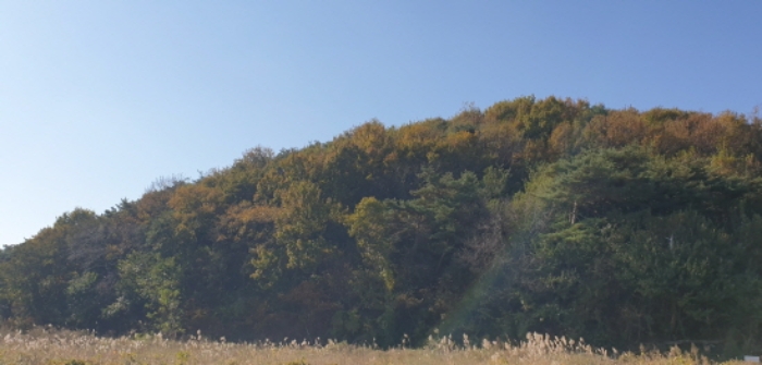 경기도 안산시 단원구 대부동동 산107-6 임야 경매 사진 22