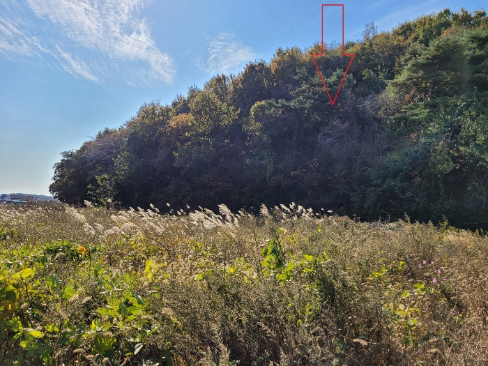 경기도 안산시 단원구 대부동동 산107-6 임야 경매 사진 26