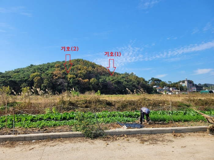 경기도 안산시 단원구 대부동동 산107-6 임야 경매 사진 27