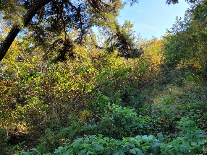 경기도 안산시 단원구 대부동동 산107-6 임야 경매 사진 30