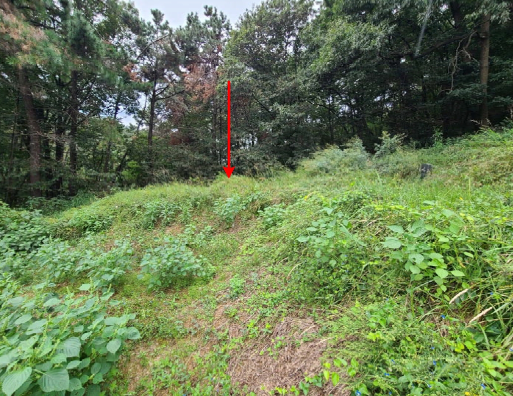 경기도 안성시 대덕면 내리 산37-6 임야 경매 사진 16