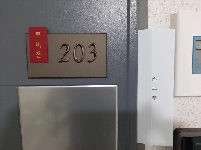 서울특별시 강서구 염창동 261-16 루미온 제101동 제2층 제203호 오피스텔 경매 사진 15