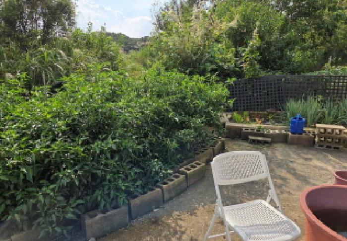 충청남도 아산시 탕정면 호산리 460-6 전 경매 사진 19