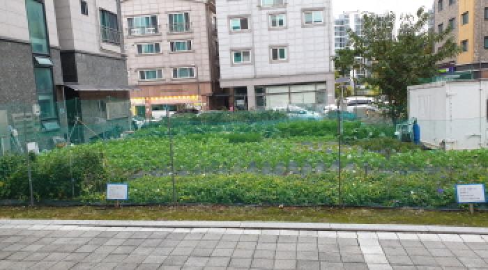 경기도 김포시 통진읍 마송리 584-2 대지 경매 사진 11