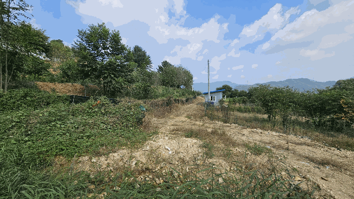 충청북도 괴산군 소수면 입암리 715 전 경매 사진 8