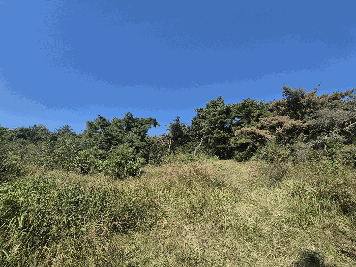 경상북도 성주군 선남면 관화리 산15 임야 경매 사진 19