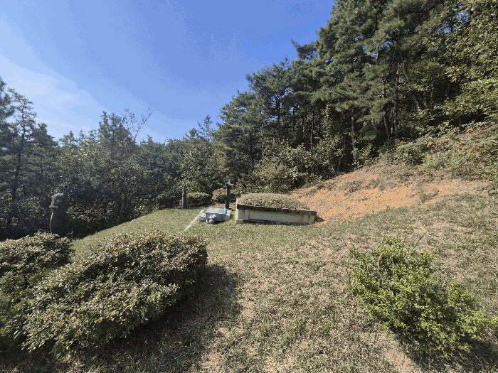 경상북도 성주군 선남면 관화리 산15 임야 경매 사진 20