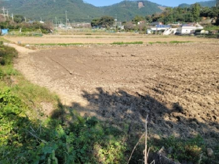 경상남도 거제시 둔덕면 시목리 643 답 경매 사진 11