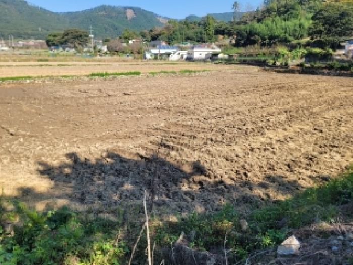 경상남도 거제시 둔덕면 시목리 643 답 경매 사진 12