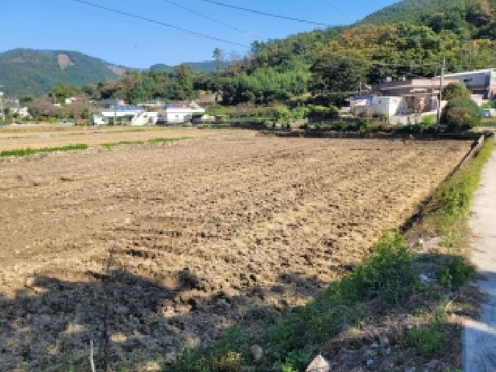 경상남도 거제시 둔덕면 시목리 643 답 경매 사진 13