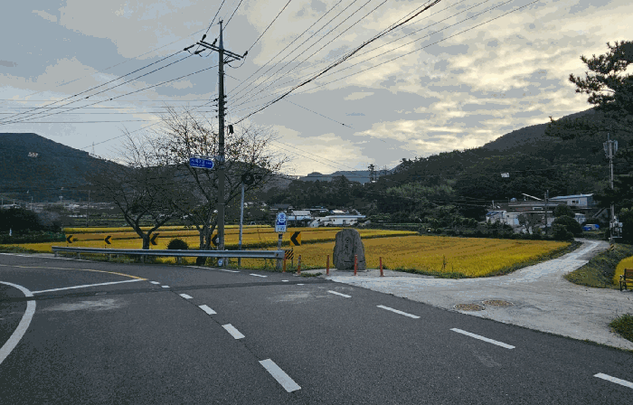 경상남도 거제시 둔덕면 시목리 643 답 경매 사진 14