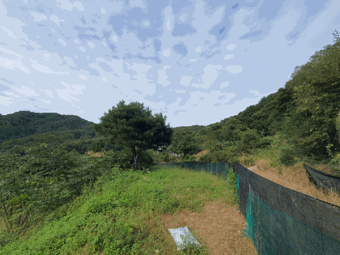 강원특별자치도 홍천군 화촌면 야시대리 378-2 대지 경매 사진 10