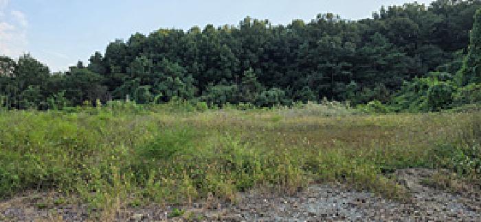 충청남도 예산군 덕산면 사동리 380 대지 경매 사진 12