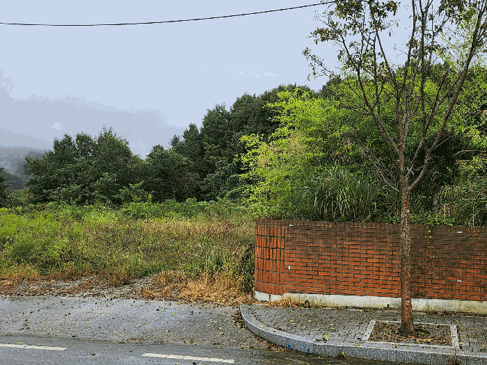 충청남도 예산군 덕산면 사동리 380 대지 경매 사진 17