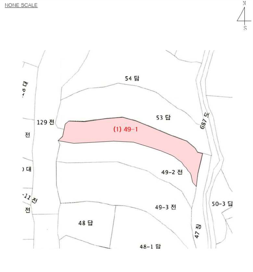 인천광역시 서구 금곡동 49-1 답 경매 사진 52