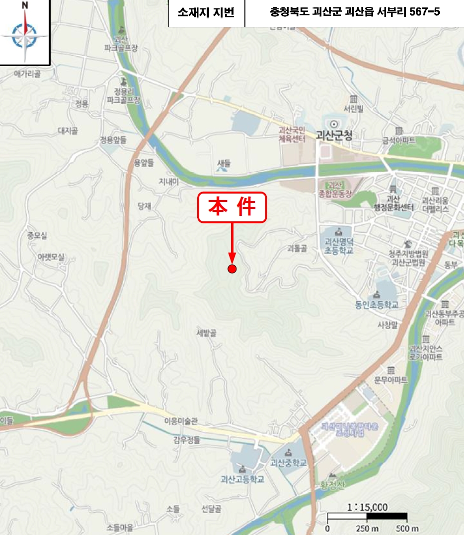 충청북도 괴산군 괴산읍 서부리 567-5 전 경매 사진 11